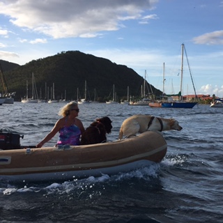 dogs-in-dinghy